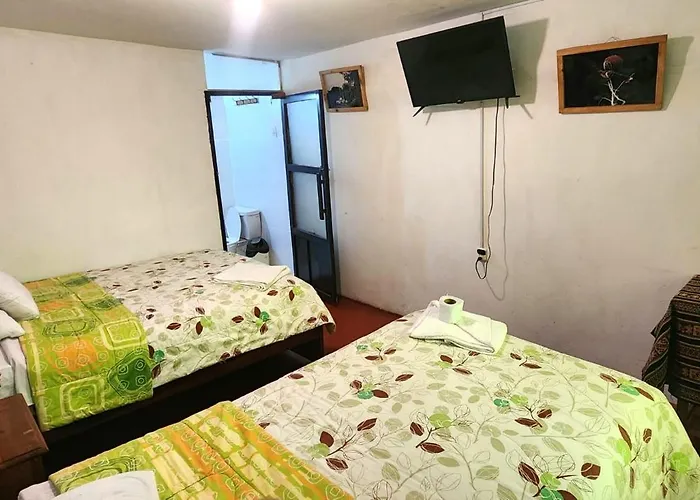 Auberge de jeunesse Imperial Backpacker Cusco